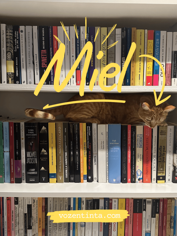 Sobre Miel y otros&nbsp;amores